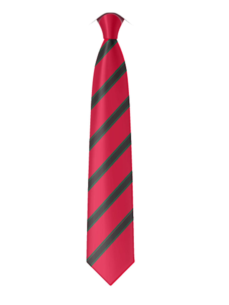 Glastry College | Uniform | Tie | New | Boys | Girls | Buy Now – FOCUS ...