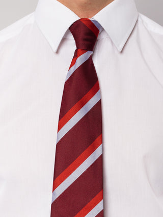 Sketrick House Tie