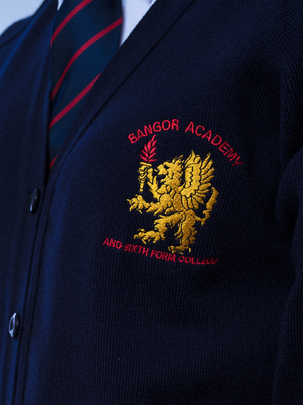 bangor-academy-cardigan-6th-form