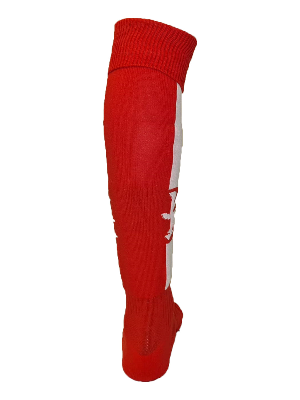 regent-house-school-girls-games-socks