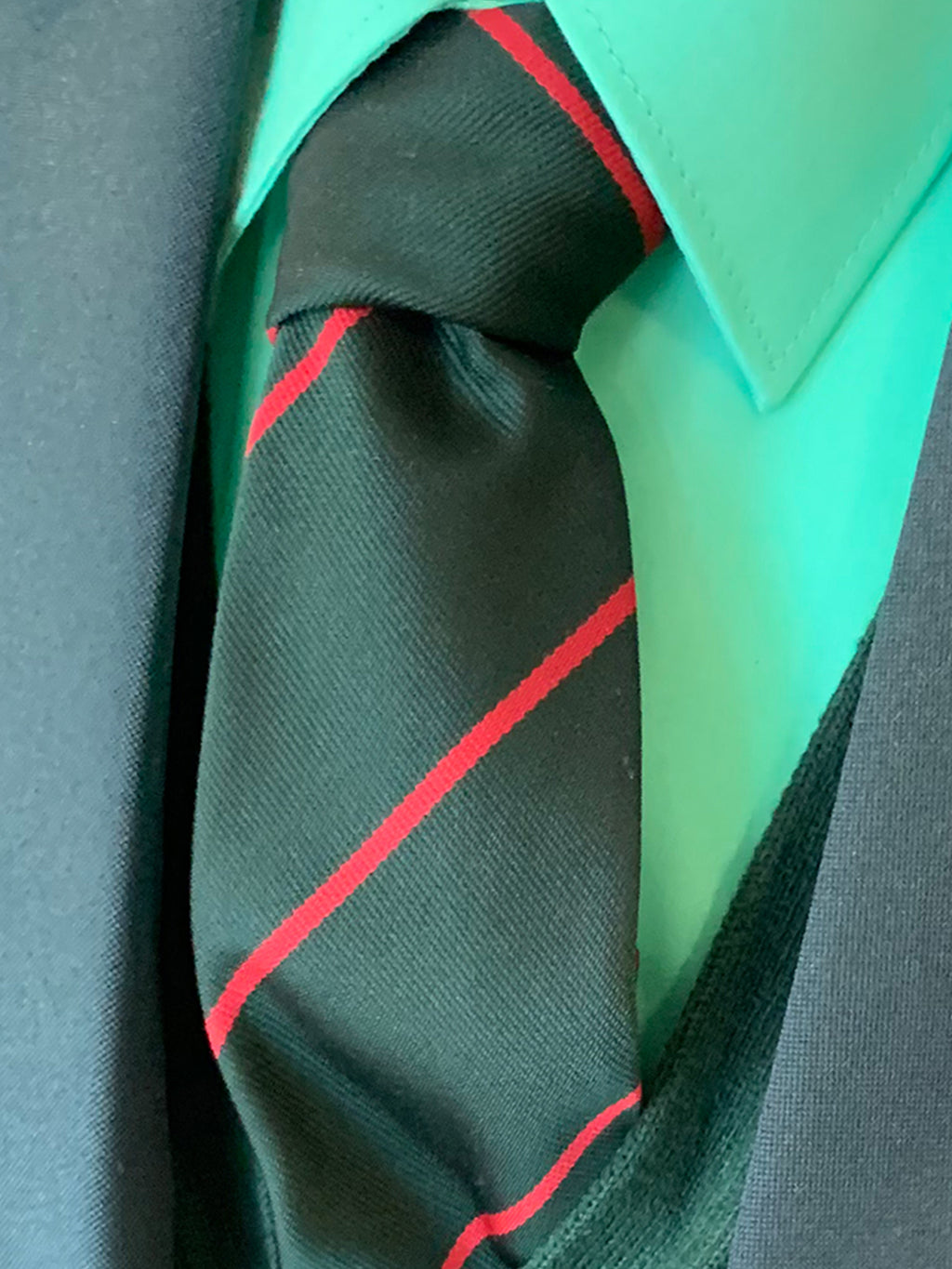 regent house uniform tie